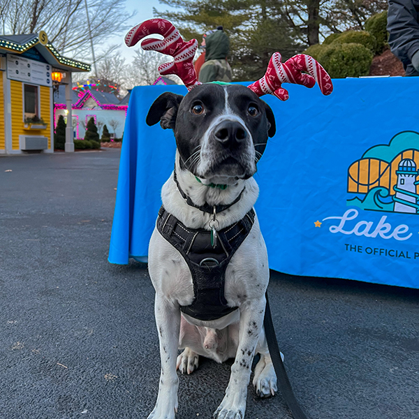  Pawliday Lights at Lake Compounce in Bristol, Connecticut is December 8, 2024 