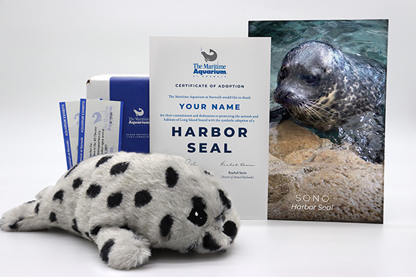 Adoption kit at the maritime museum in Norwalk, Connecticut 