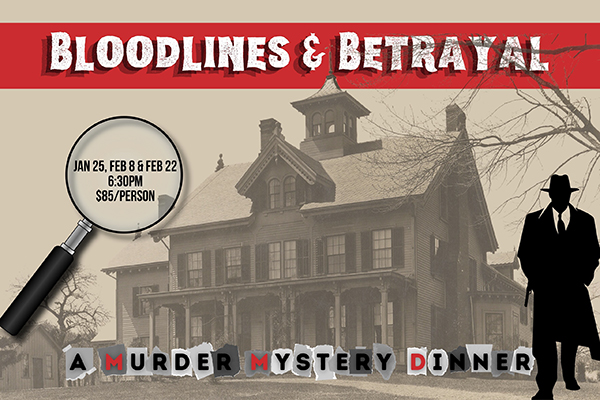 Bloodlines and Betrayals mystery dinner at Lyman orchards in Middlefield Connecticut in January 2025