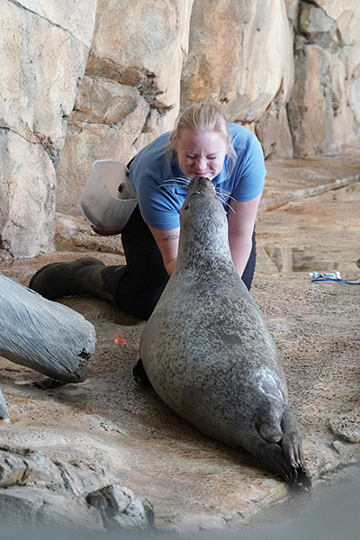 Leila with trainer Alexis photo via The Maritime Aquarium  harbor seal in norwalk connecticut 