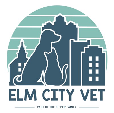 Elm City Vets in New Haven Connecticut 