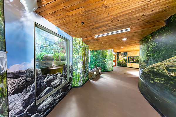 Rainforest exhibit at Connecticut's Beardsley Zoo in Bridgeport, Connecticut 