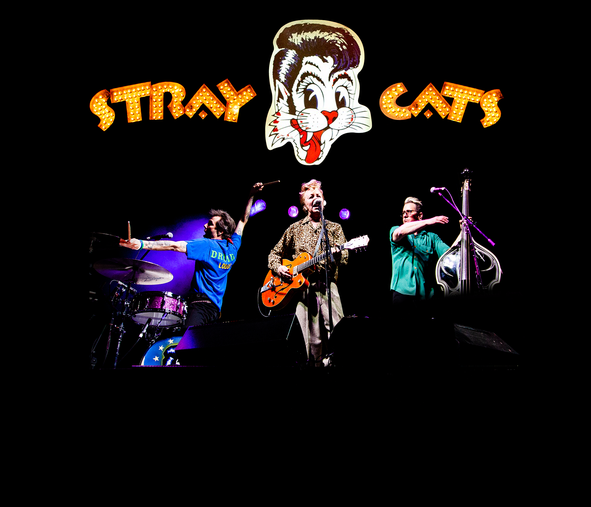 The Stray Cats